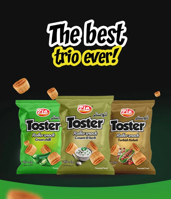 toster,-Papri-fry-banner-mobile-resp