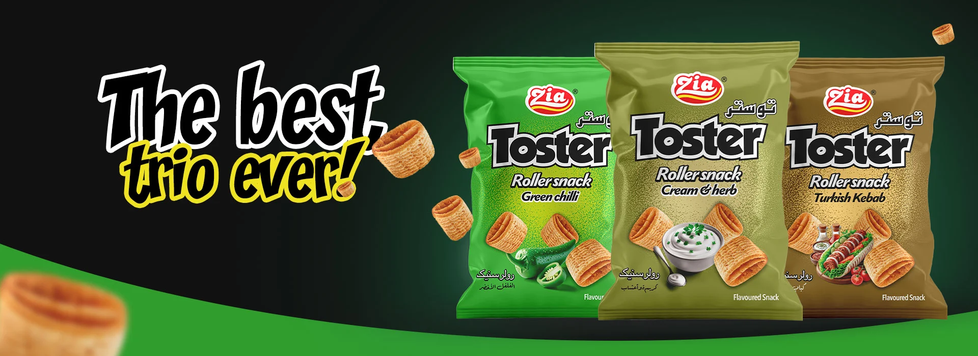 toster,-Papri-fry-banner