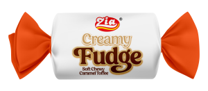 Creamy Fudge Candy